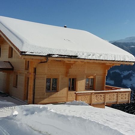 Winterfell Villa Leysin Kültér fotó