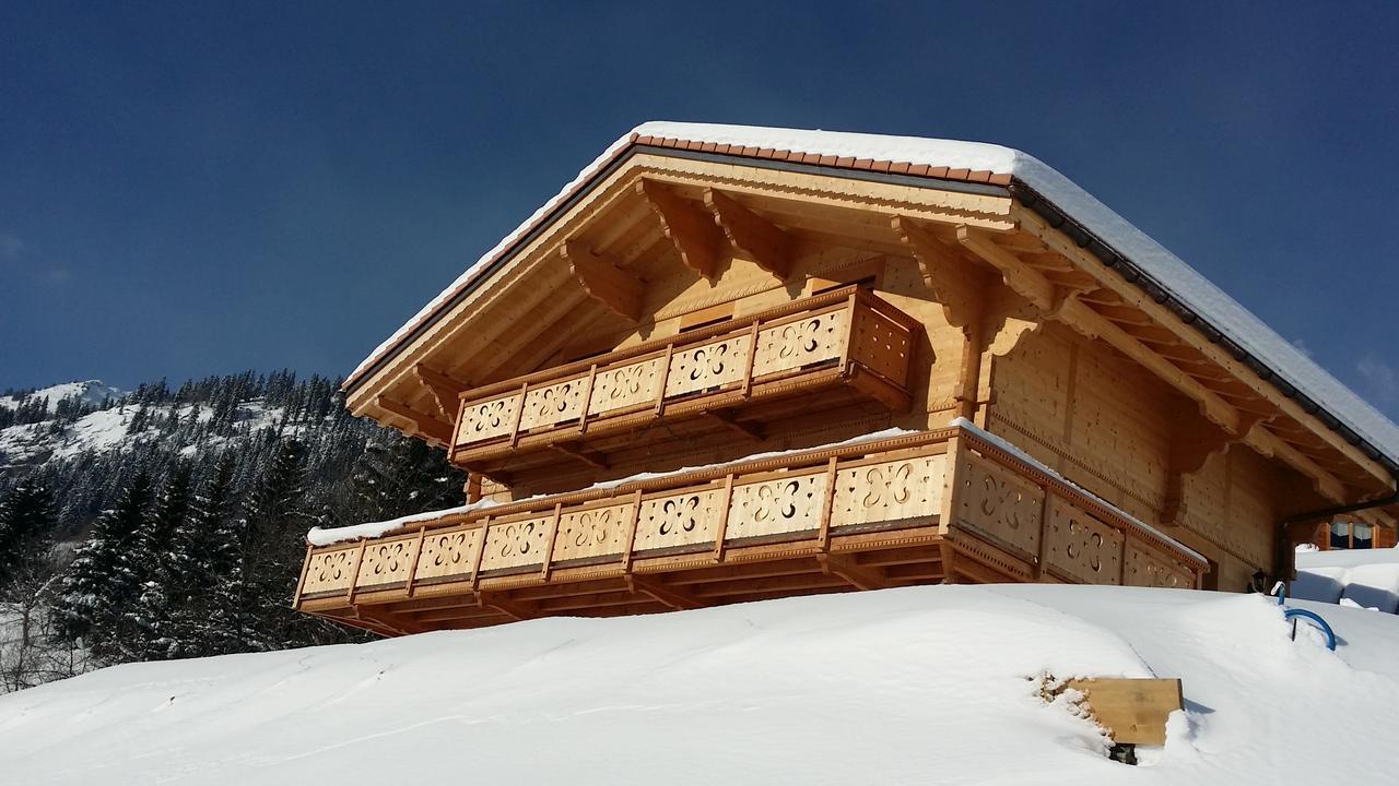 Winterfell Villa Leysin Kültér fotó