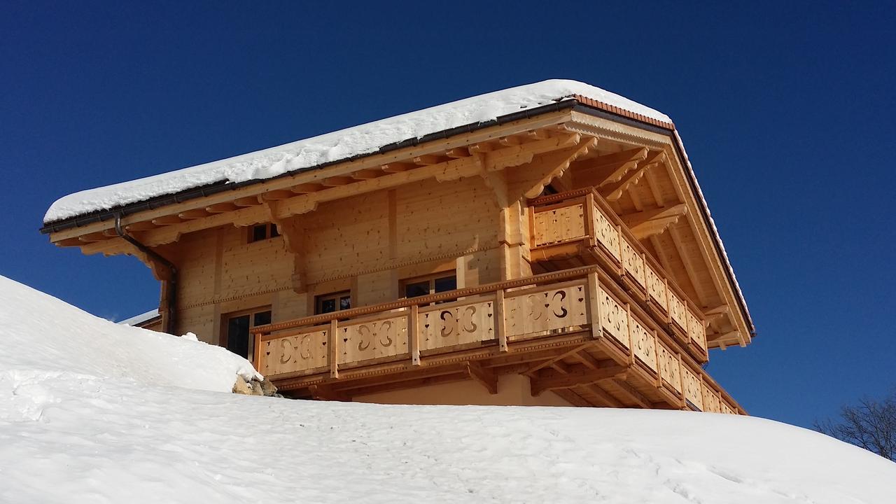Winterfell Villa Leysin Kültér fotó