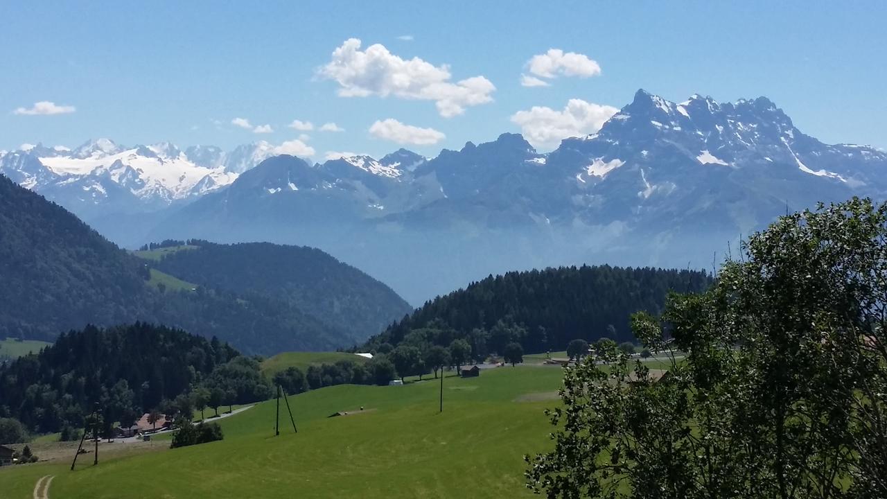 Winterfell Villa Leysin Kültér fotó