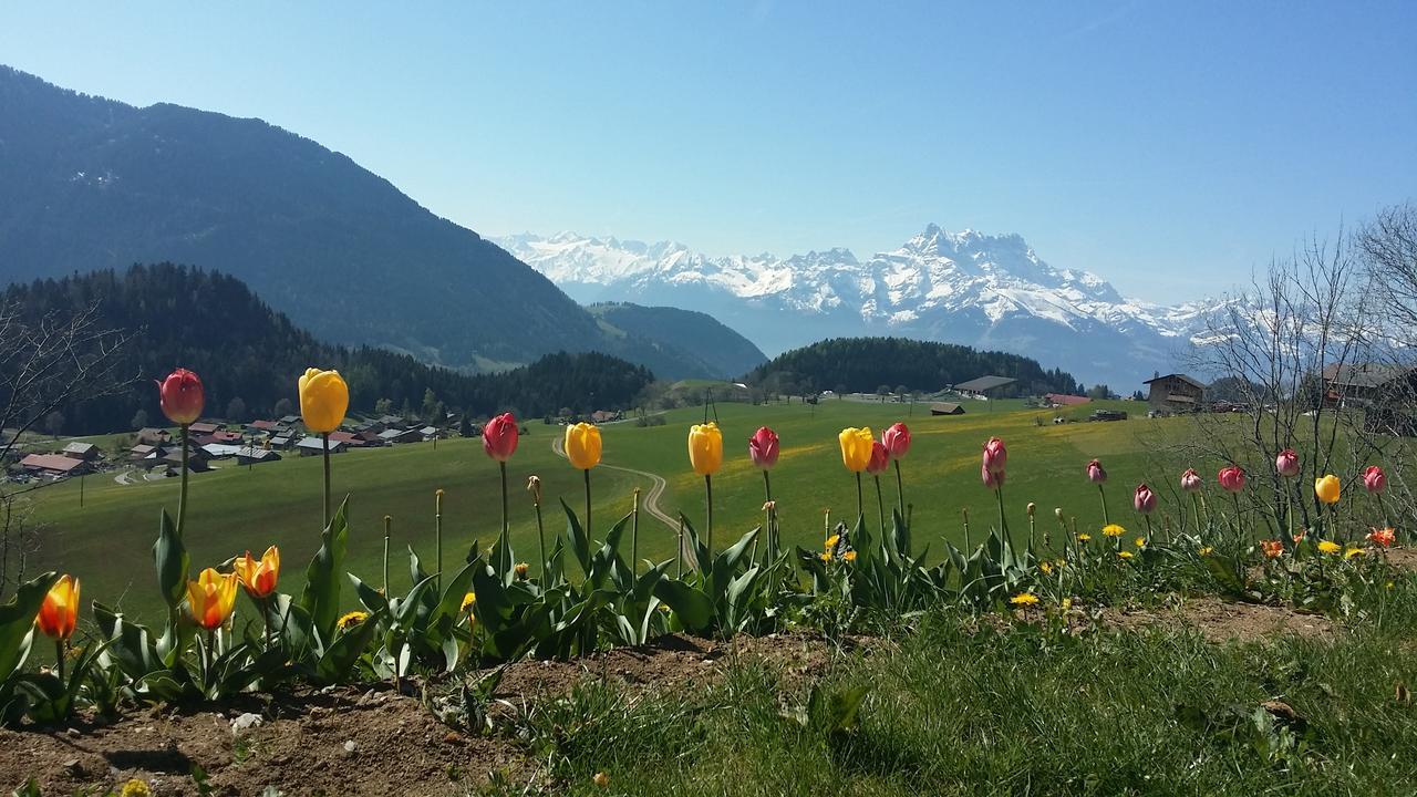 Winterfell Villa Leysin Kültér fotó